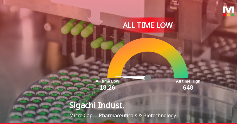 Markets Rise, But Sigachi Industries Ltd Slides to All-Time Low Amid Stock-Specific Sell-Off