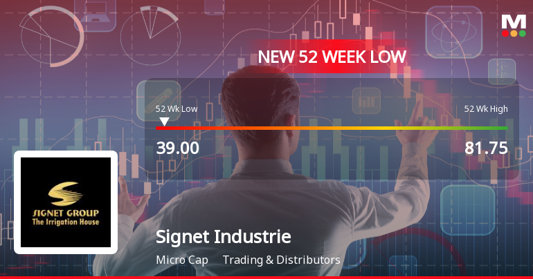 Signet Industries Ltd Falls to 52-Week Low of Rs 40 as Sell-Off Deepens