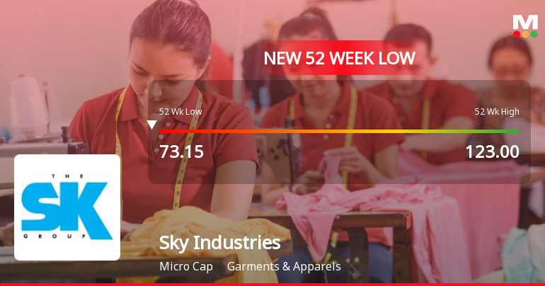 Sky Industries Ltd Falls to 52-Week Low of Rs 67.5 as Sell-Off Deepens
