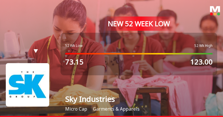 Five Consecutive Losses Push Sky Industries Ltd to a New 52-Week Low