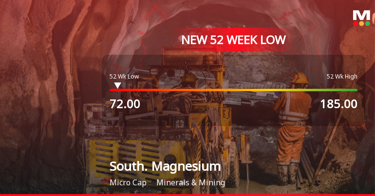 Southern Magnesium & Chemicals Ltd Falls to 52-Week Low of Rs.72