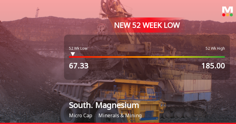 Southern Magnesium & Chemicals Ltd Hits 52-Week Low at Rs.70