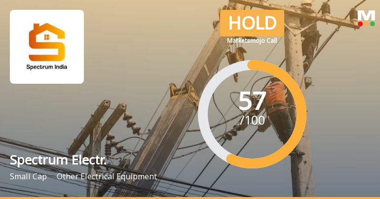 Spectrum Electrical Industries Ltd is Rated Hold