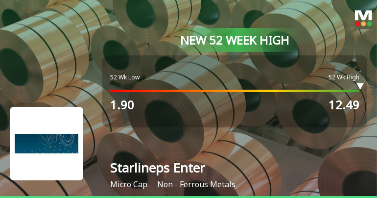 Starlineps Enterprises Ltd Hits New 52-Week High at Rs.12.49