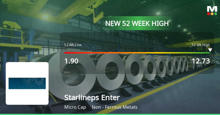 Starlineps Enterprises Ltd Hits New 52-Week High at Rs.12.73