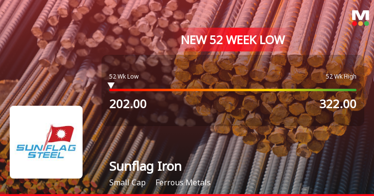 Markets Rally, But Sunflag Iron & Steel Company Ltd Sinks to 52-Week Low in Stock-Specific Sell-Off