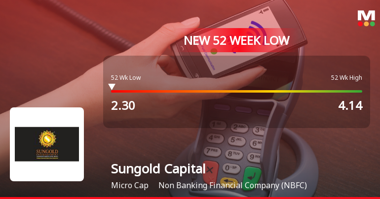 Sungold Capital Ltd Falls to 52-Week Low of Rs.2.3 Amidst Weak Fundamentals