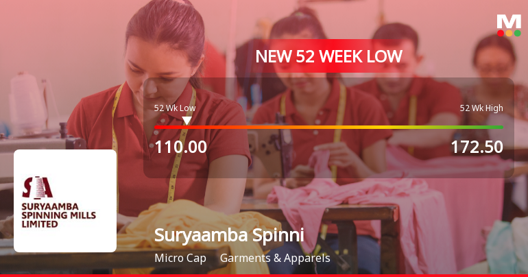 Markets Rally, But Suryaamba Spinning Mills Ltd Sinks to 52-Week Low in Stock-Specific Sell-Off