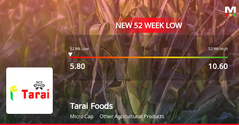 Tarai Foods Ltd Stock Falls to 52-Week Low of Rs.5.8 Amidst Continued Downtrend