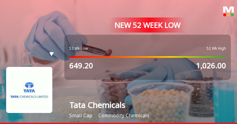 Tata Chemicals Ltd. Falls to 52-Week Low of Rs 596.05 as Sell-Off Deepens