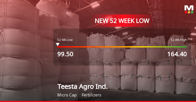 Teesta Agro Industries Ltd Falls to 52-Week Low of Rs.99.5