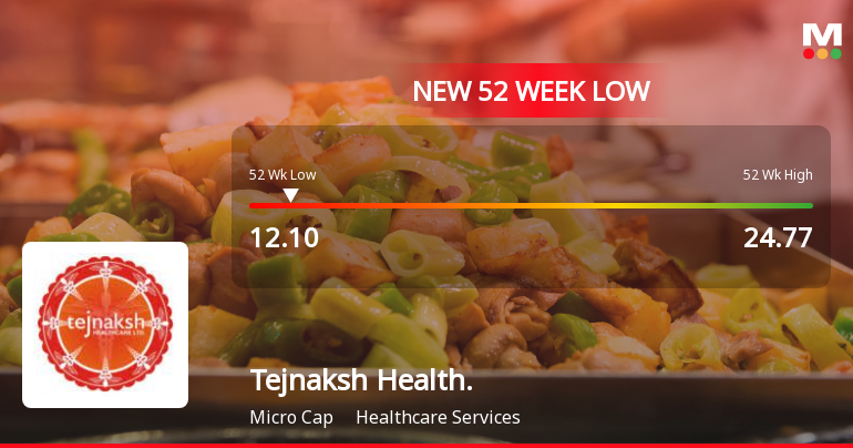 Tejnaksh Healthcare Ltd Stock Falls to 52-Week Low of Rs.12.1