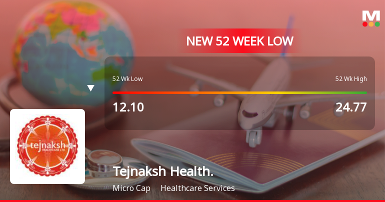Tejnaksh Healthcare Ltd Falls to 52-Week Low of Rs 10.65 as Sell-Off Deepens