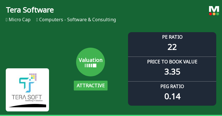 Tera Software Ltd Valuation Shifts Signal Renewed Price Attractiveness