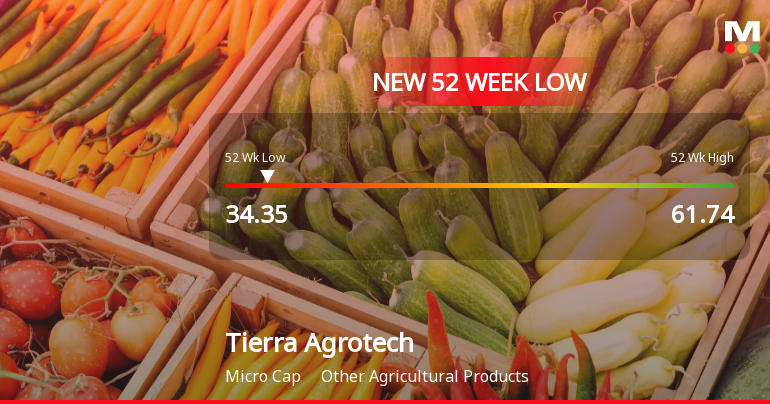 Tierra Agrotech Ltd Stock Hits 52-Week Low at Rs.34.35 Amidst Continued Downtrend