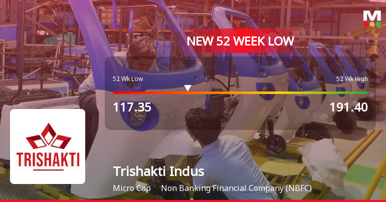 Markets Rally, But Trishakti Industries Ltd Sinks to 52-Week Low in Stock-Specific Sell-Off