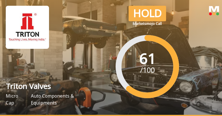 Triton Valves Ltd is Rated Hold by MarketsMOJO