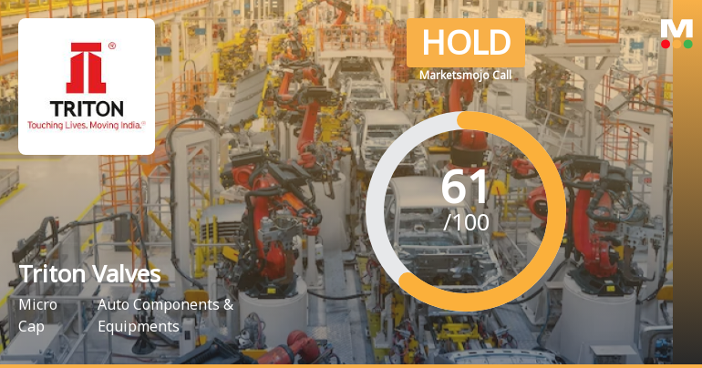 Triton Valves Ltd is Rated Hold by MarketsMOJO