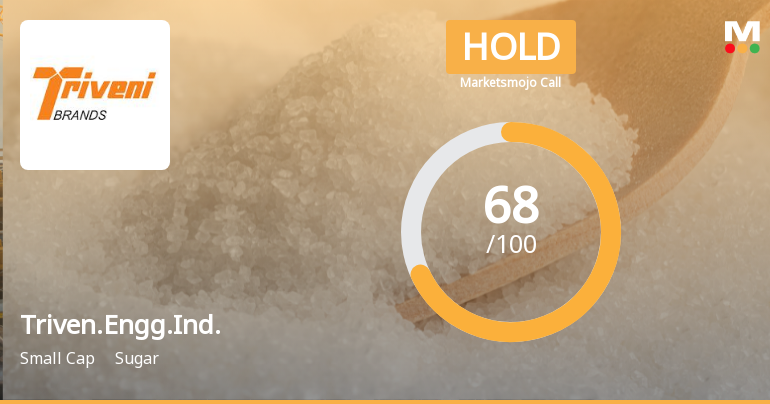 Triveni Engineering Downgraded to Hold Amid Mixed Technical and Financial Signals