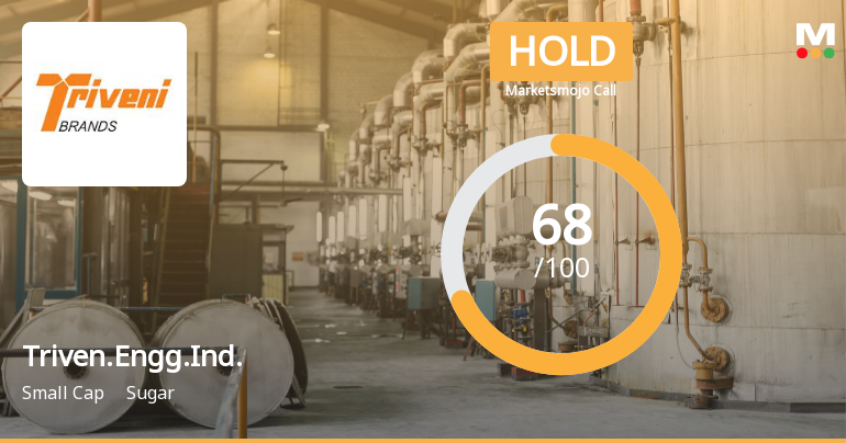 Triveni Engineering Downgraded to Hold Amid Mixed Financial and Technical Signals