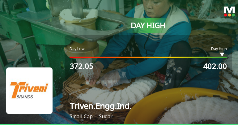 Triveni Engineering and Industries Ltd Surges 7.91% to Day's High of Rs 401 — Outperforms Sugar Sector by 3.6 Percentage Points