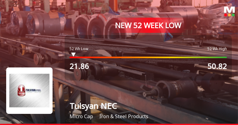 Tulsyan NEC Ltd Stock Falls to 52-Week Low of Rs.21.86 Amidst Continued Downtrend