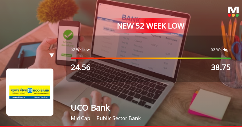 Five Consecutive Losses Push UCO Bank to a New 52-Week Low