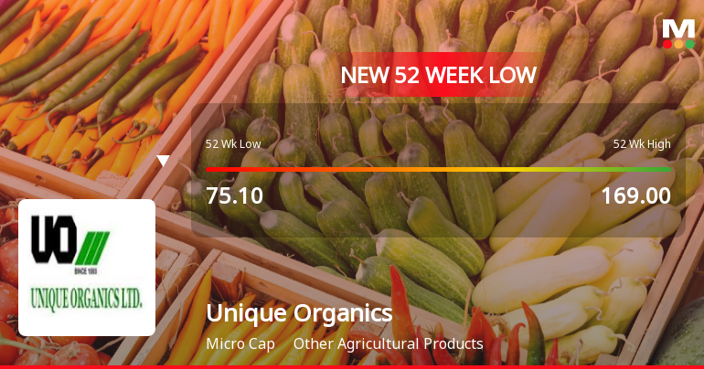 Markets Rally, But Unique Organics Ltd Sinks to 52-Week Low in Stock-Specific Sell-Off