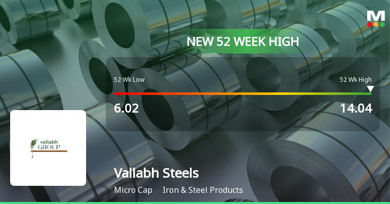 Vallabh Steels Ltd Hits New 52-Week High at Rs.14.26