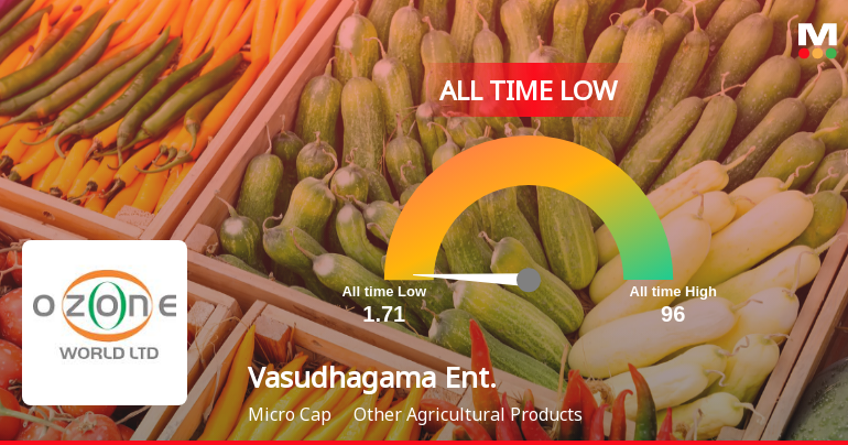 Vasudhagama Enterprises Ltd Extends Losing Streak, Hits All-Time Low at Rs 1.63