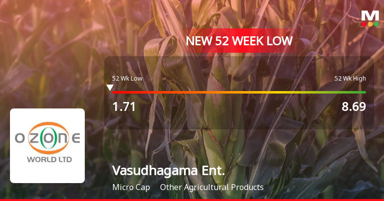 Markets Rally, But Vasudhagama Enterprises Ltd Sinks to 52-Week Low in Stock-Specific Sell-Off