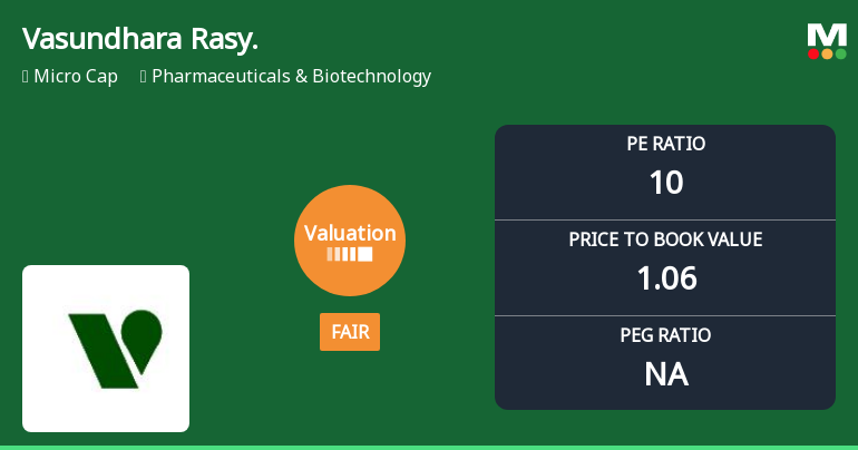 Vasundhara Rasayans Ltd Valuation Shifts Amidst Market Volatility