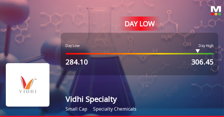 Vidhi Specialty Food Ingredients Ltd Hits Intraday Low Amid Price Pressure