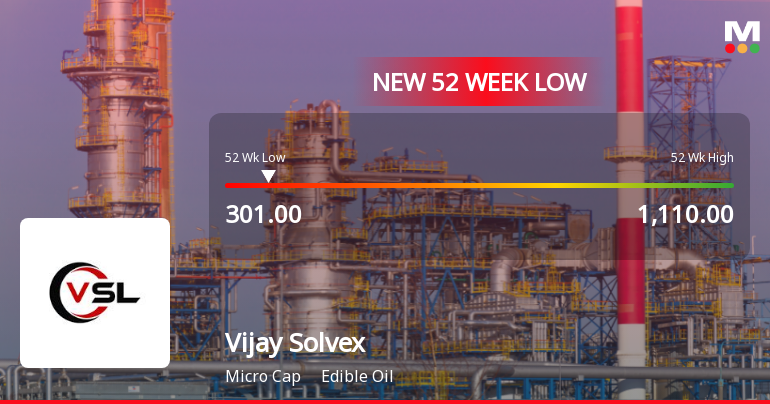 Vijay Solvex Ltd Stock Falls to 52-Week Low of Rs.301