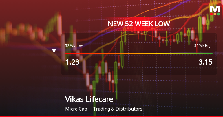 Markets Rally, But Vikas Lifecare Ltd Sinks to 52-Week Low in Stock-Specific Sell-Off