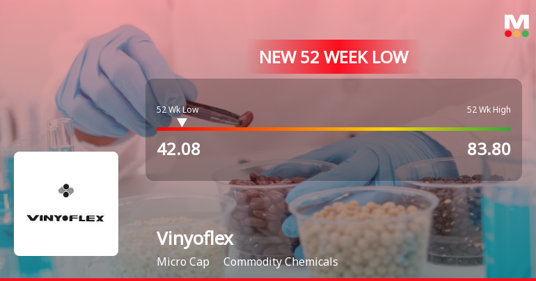 Vinyoflex Ltd Stock Falls to 52-Week Low of Rs.42.08