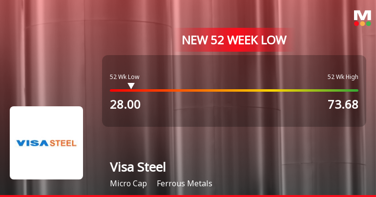 Markets Rally, But Visa Steel Ltd Sinks to 52-Week Low in Stock-Specific Sell-Off