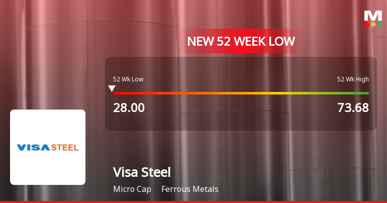 Markets Rally, But Visa Steel Ltd Sinks to 52-Week Low in Stock-Specific Sell-Off