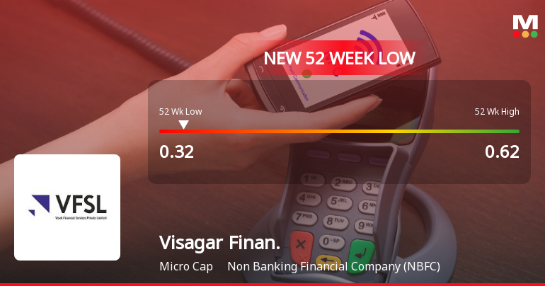 Visagar Financial Services Ltd Falls to 52-Week Low of Rs.0.32