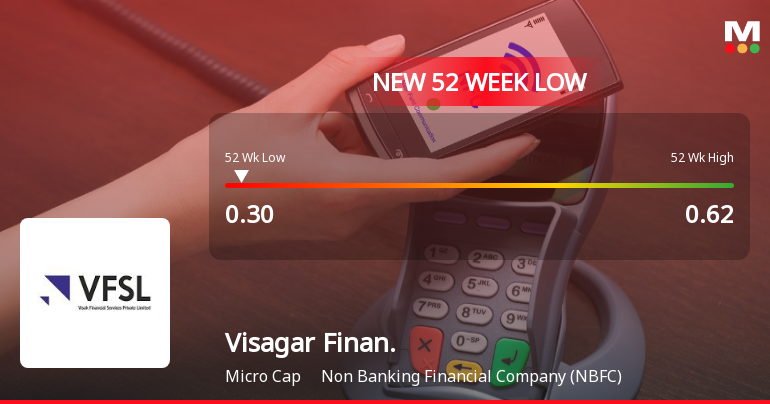 Visagar Financial Services Ltd Falls to 52-Week Low of Rs.0.3