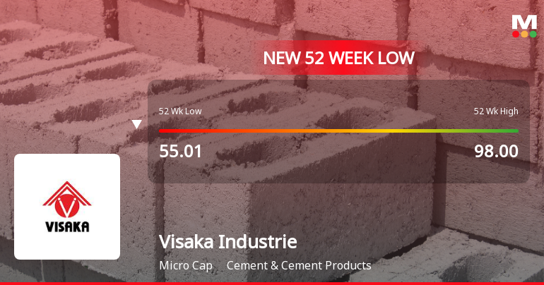 Visaka Industries Ltd Falls to 52-Week Low of Rs 53.94 as Sell-Off Deepens