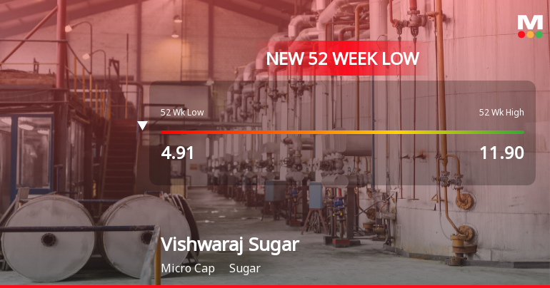 Markets Rally, But Vishwaraj Sugar Industries Ltd Sinks to 52-Week Low in Stock-Specific Sell-Off