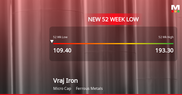 Markets Rally, But Vraj Iron & Steel Ltd Sinks to 52-Week Low in Stock-Specific Sell-Off