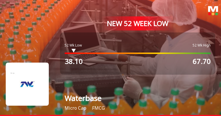 Waterbase Ltd Falls to 52-Week Low of Rs 38 as Sell-Off Deepens