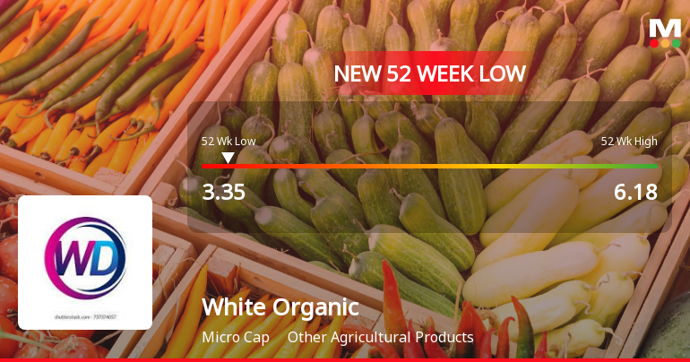 Markets Rally, But White Organic Agro Ltd Sinks to 52-Week Low in Stock-Specific Sell-Off