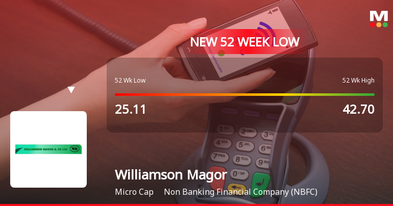 Williamson Magor & Company Ltd Falls to 52-Week Low of Rs 22.13 as Sell-Off Deepens