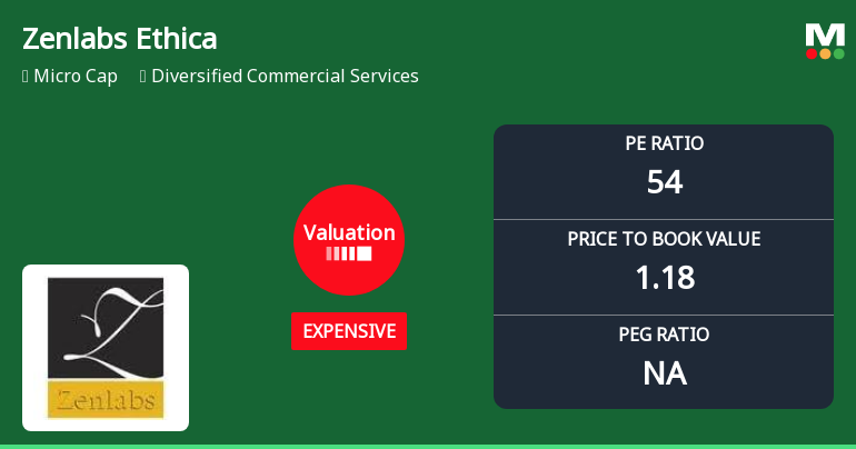 Zenlabs Ethica Ltd Valuation Shifts Signal Price Attractiveness Decline