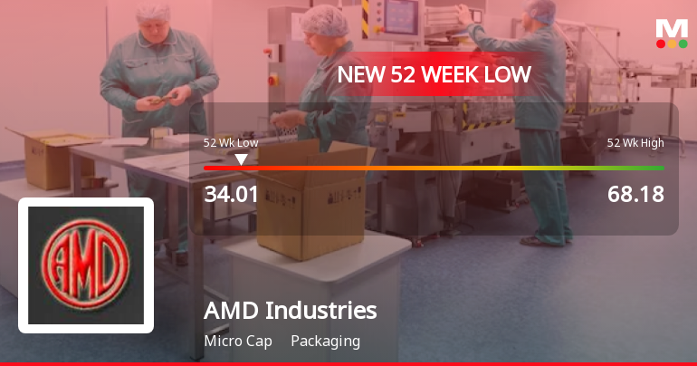 Markets Rally, But AMD Industries Ltd Sinks to 52-Week Low in Stock-Specific Sell-Off