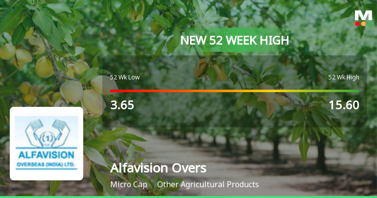 Broad-Based Technical Strength Lifts Alfavision Overseas (India) Ltd to 52-Week High of Rs 17.18