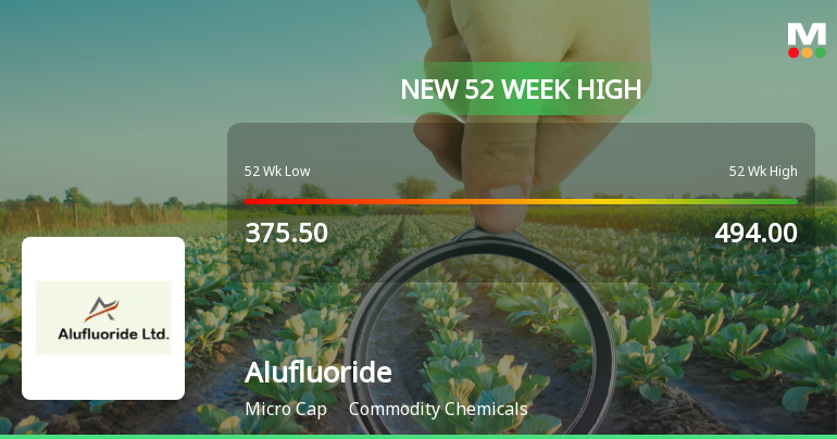 Broad-Based Technical Strength Lifts Alufluoride Ltd to 52-Week High of Rs 610.85